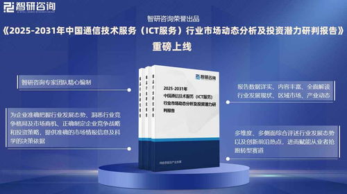 通信技術(shù)服務(wù)（ICT服務(wù)）行業(yè)市場(chǎng)預(yù)測(cè)報(bào)告 發(fā)展環(huán)境、全景概覽與競(jìng)爭(zhēng)格局分析